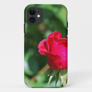 Coque iPhone 11 Bourgeon de rose rouge