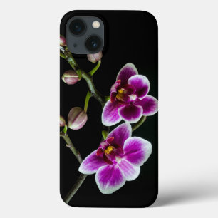 Case-Mate iPhone Case Branche d'orchidée couleur rose blanc noir pâle