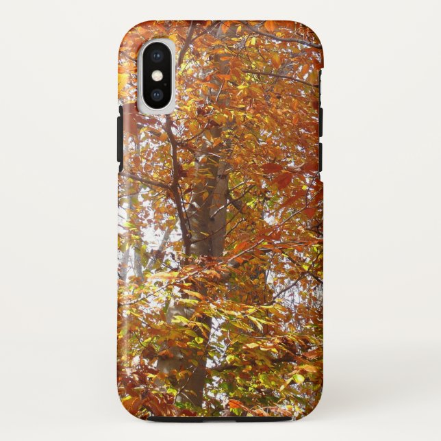Coques Case-Mate iPhone Branches de feuilles orange Automne Nature (Dos)