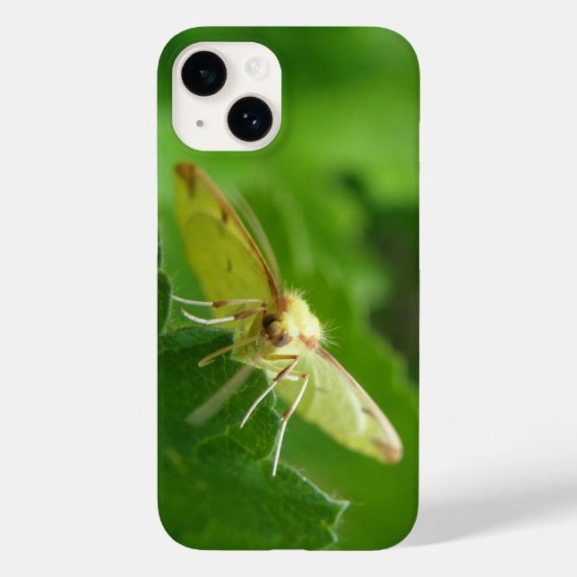 Coques Case-Mate iPhone Brimstone Moth (Verso)