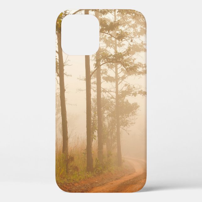 Coques Case-Mate iPhone Brouillard dans la forêt de pins, beau, noir, fonc (Verso)