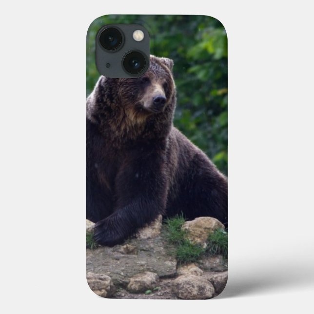 Coques Case-Mate iPhone Brown bear (Verso)