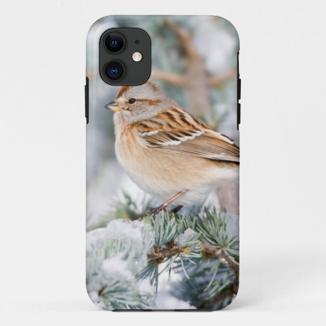 Coques Case-Mate iPhone Bruant hudsonien en hiver (Dos)