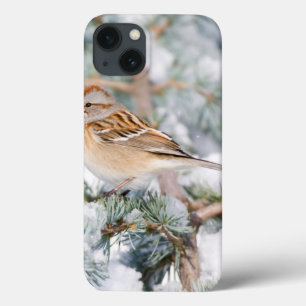Coques Pour iPhone Bruant hudsonien en hiver