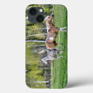 iPhone 13 Case Bucking Palomino Peinture & Cheval Blanc, Amateurs