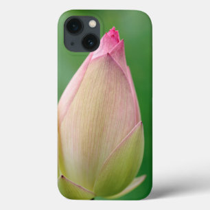 iPhone 13 Case Bulbe de nénuphar non ouvert, Jardin botanique de