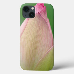 Etui iPhone 13 Bulbe Lily de l'eau non ouverte, Durban Botanique