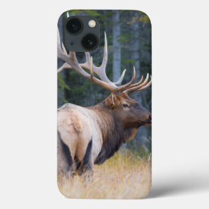 iPhone 13 Case Bull