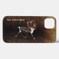 Bull Caribou (Reindeer) Coque-coque iphone