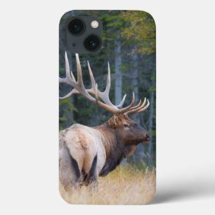Case-Mate iPhone Case Bull Rocky Mountain Elk