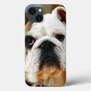 Coques Pour iPhone Bulldog