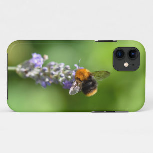 Case-Mate iPhone Case Bumble Beat Sur Une Lavande