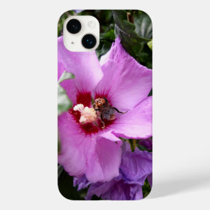 Coque Case-Mate iPhone Bumblebebe sur la fleur d'Hibiscus