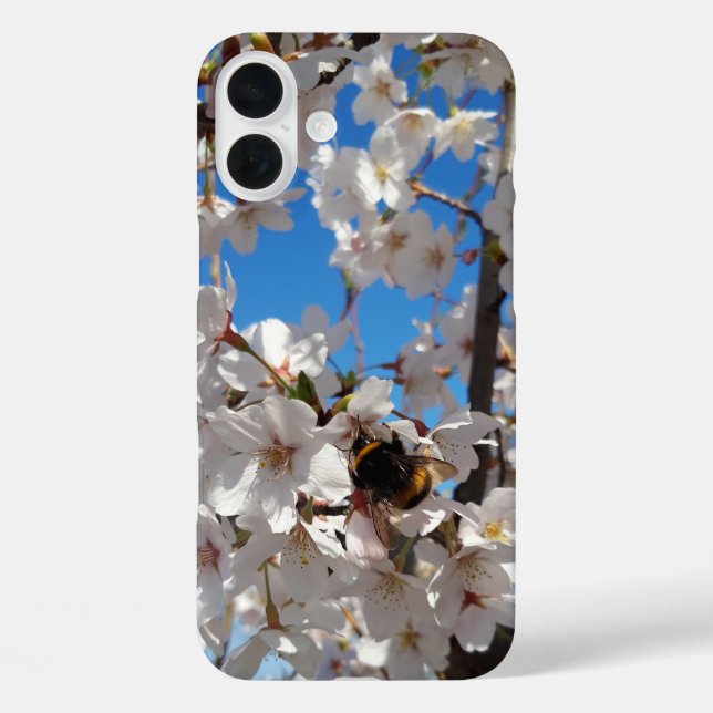 Coques Case-Mate iPhone Bumblebee sur la fleur de cerisier sauvage (Verso)