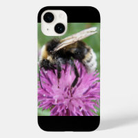 Bumblebee sur un chardon