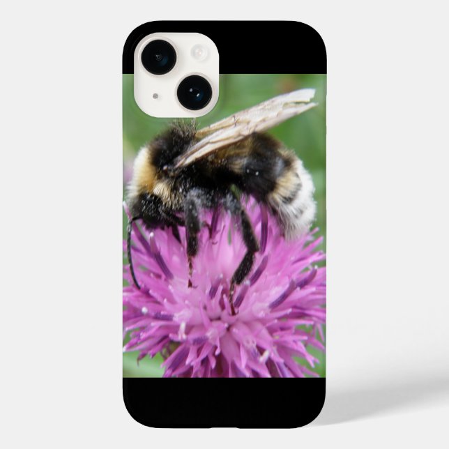 Coques Case-Mate iPhone Bumblebee sur un chardon (Verso)