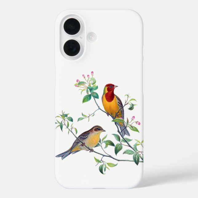 Coques Case-Mate iPhone Bunting Birds on Branches (Verso)