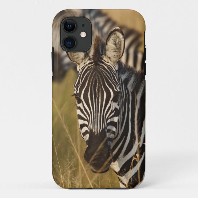 Coques Case-Mate iPhone Burchell's Zebra dans la haute herbe d'été, Masai (Dos)