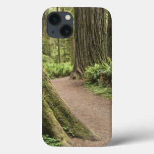 Coque Case-Mate iPhone CA, Jedediah Smith State Park, Simpson-Reed