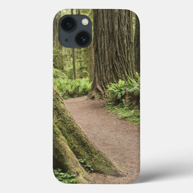 Coques Case-Mate iPhone CA, Jedediah Smith State Park, Simpson-Reed (Verso)
