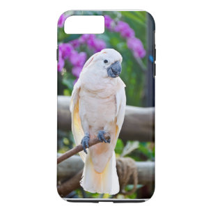 Coques Pour iPhone Cacatoès blanc de parapluie