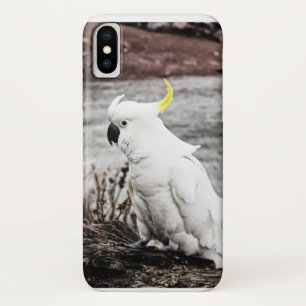 Coque iPhone X Cacatoès Soufre-Crêté