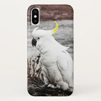 Coque iPhone X Cacatoès Soufre-Crêté