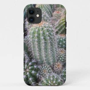 Case-Mate iPhone Case Cactus