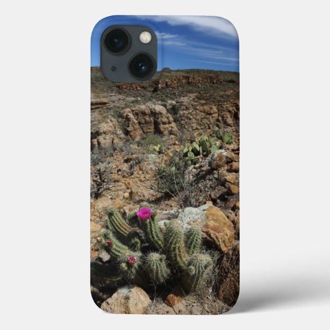 Coques Case-Mate iPhone Cactus (Verso)