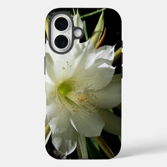 Coques Case-Mate iPhone Cactus Bloom (Verso)