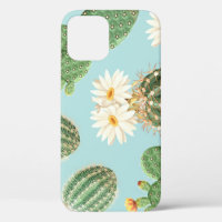 Cactus, fleurs roses : décor clair