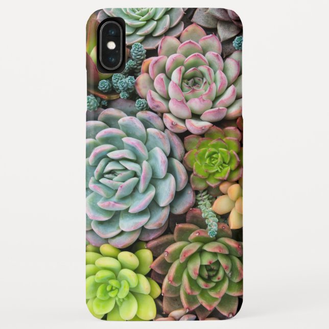 Coques Case-Mate iPhone Cactus Succulents cas de téléphone (Dos)