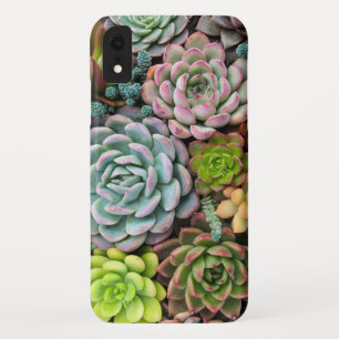 Case-Mate iPhone Case Cactus Succulents cas de téléphone