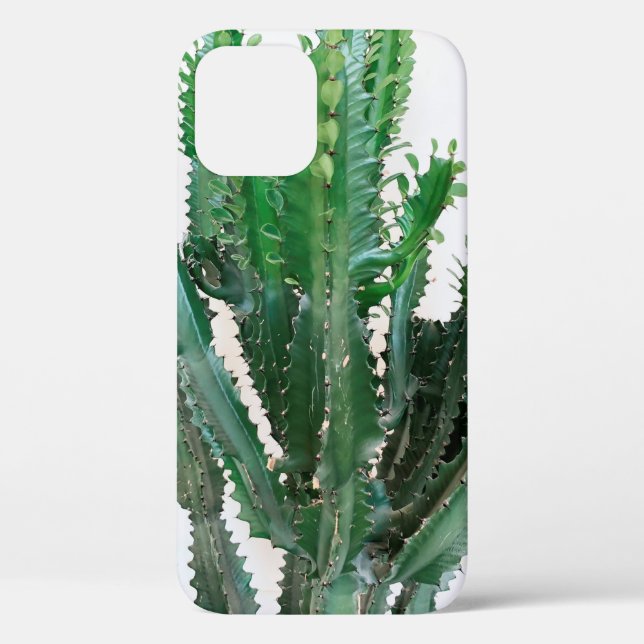 Coques Case-Mate iPhone Cactus vert sur arrière - plan blanc. (Verso)