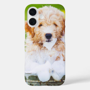 Coque Pour iPhone 16 Cadeau de souvenir de photo de compagnie personnal