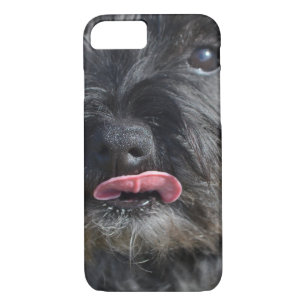 Coque iPhone 8/7 Cairn Terrier adorable