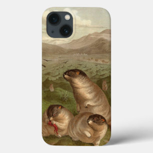 iPhone 13 Coque Caisse vintage colorée d'illustration de marmotte