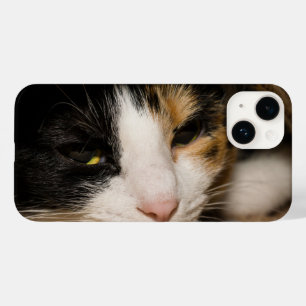 Coque Case-Mate iPhone Calico Face