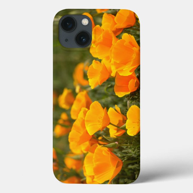 Coques Case-Mate iPhone California poppies (Verso)