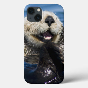 Coque Case-Mate iPhone California Sea Otter Enhydra lutris) grooms