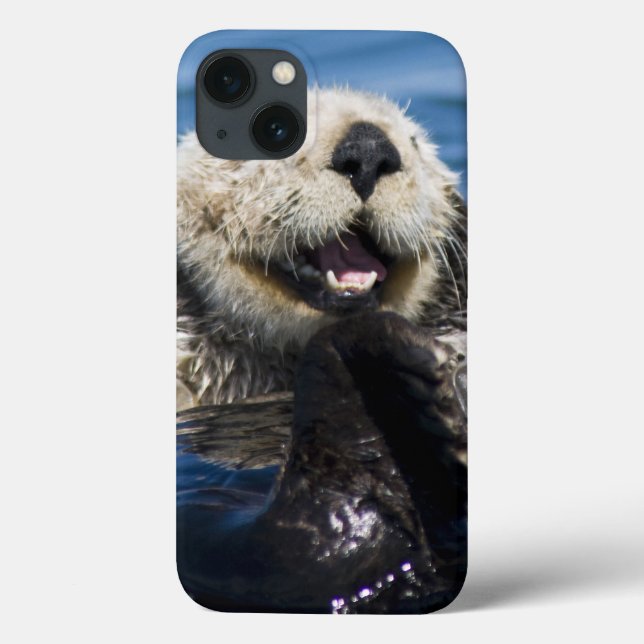 Coques Case-Mate iPhone California Sea Otter Enhydra lutris) grooms (Verso)