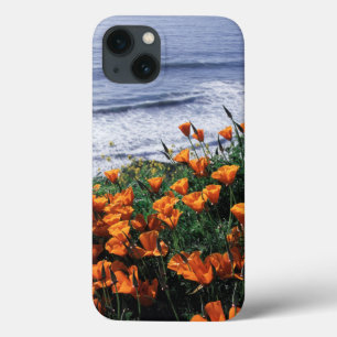 Coque Case-Mate iPhone Californie, côte de Big Sur, pavot de Californie