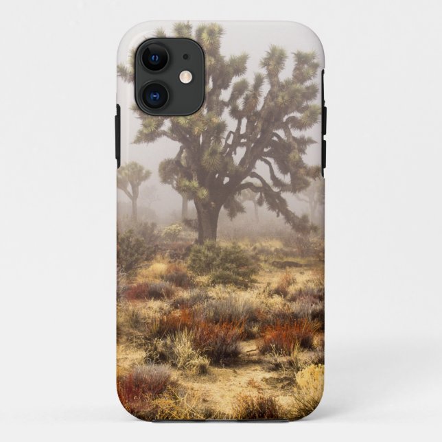 Coques Case-Mate iPhone Californie : monument national de Joshua Tree, (Dos)