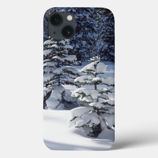 Coques Case-Mate iPhone Californie, Sierra Nevada Mountains 8 (Verso)