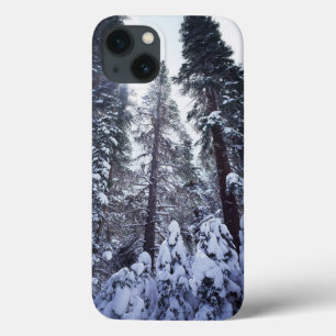 Etui iPhone 13 Californie, Sierra Nevada Mountains 9