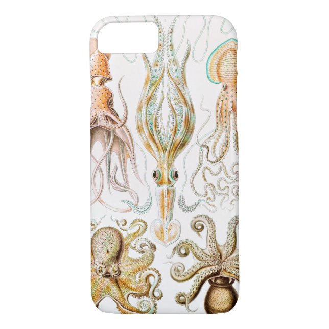 Coques Case-Mate iPhone Calmar de poulpe, Gamochonia, par Ernst Haeckel (Dos)