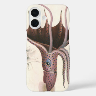 Coques iPhone 16 Calmar Parasol, Animaux Marins Vintage