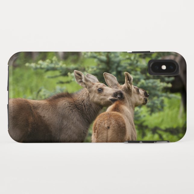 Coques Case-Mate iPhone Calves d'orignal (Dos (Horizontal))