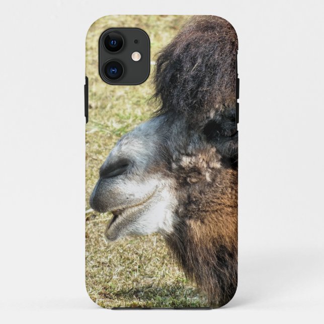 COQUES Case-Mate iPhone CAMELS (Dos)