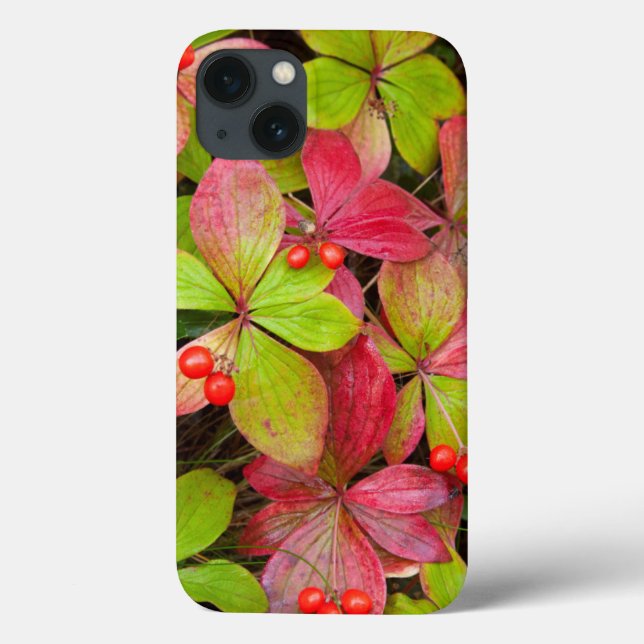 Coques Case-Mate iPhone Canada, British Columbia, Mount Robson (Verso)
